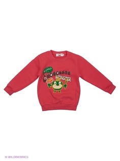 Свитшоты Happy Bear