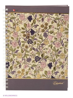 Тетради Канц-Эксмо