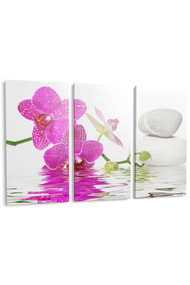 Панно "Орхидея и вода" Pannorama
