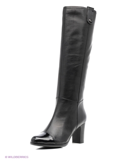 Сапоги Dino Ricci