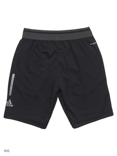 Шорты Adidas