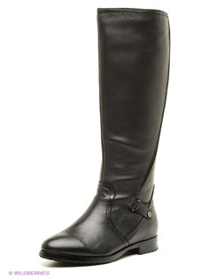 Сапоги Shoiberg