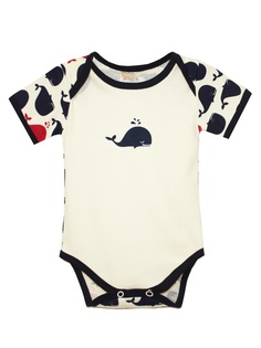 Боди КОТМАРКОТ