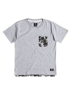 Футболка DC Shoes
