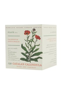 Ароматическая свеча Catalan Calendula 240гр. Kobo Candles