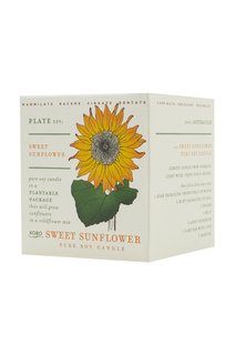 Ароматическая свеча Sweet Sunflower 240гр. Kobo Candles