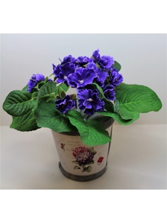 Искусственные растения Интерьерный штрих