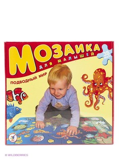 Мозаики Дрофа-Медиа