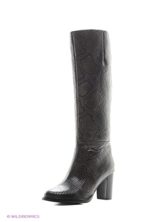 Сапоги Vitacci