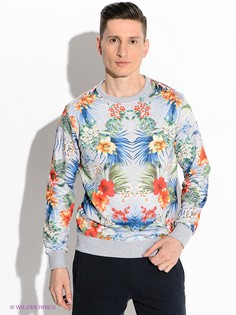 Свитшоты Colmar