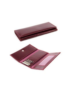 Ключницы Вектор