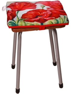 Подушки на стул Dorothys Нome