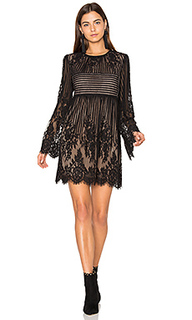 Платье - BCBGMAXAZRIA