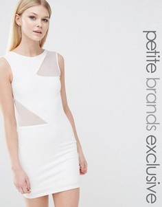 Облегающее платье с сетчатыми вставками TFNC Petite - Белый