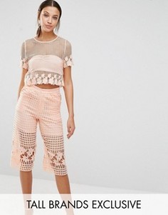 Кроп-топ из сеточки и цветочного кружева True Decadence Tall - Розовый