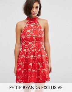 Платье мини для выпускного с халтером и кружевом Jarlo Petite - Красный