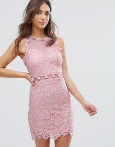 Кружевное платье-футляр с сетчатой кокеткой Love & Other Things - Розовый