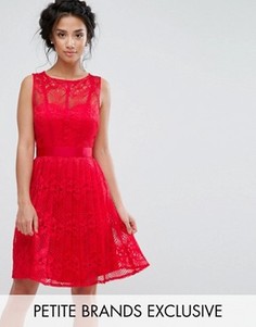 Короткое приталенное платье из кружева с плиссированной юбкой Little Mistress Petite - Красный