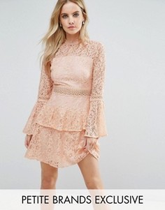 Ярусное кружевное платье мини для выпускного премиум-класса John Zack Petite - Розовый
