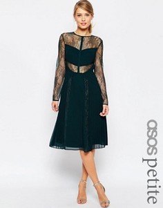 Приталенное кружевное платье миди с вырезами ASOS PETITE - Черный