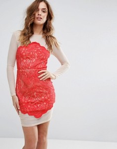 Облегающее платье из кружева и сетки Missguided - Розовый