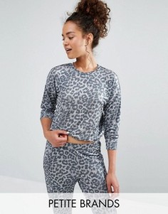 Джемпер с леопардовым принтом New Look Petite - Серый