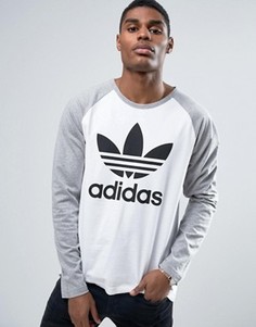 Серый лонгслив с логотипом-трилистником adidas Originals BK7628 - Серый