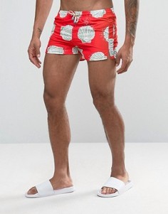 Короткие шорты для плавания с ракушками Oiler & Boiler Tuckernuck - Красный