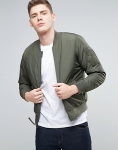 Hollister Snik