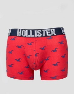 Боксеры-брифы с логотипом Hollister - Красный