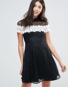 Черно-белое короткое приталенное кружевное платье Jessica Wright - Черный