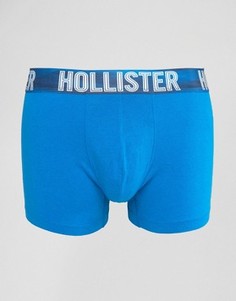 Однотонные боксеры-брифы с логотипом Hollister - Синий