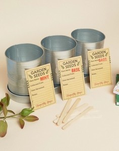 Подарочный набор для выращивания кухонных трав Temerity Jones - Мульти