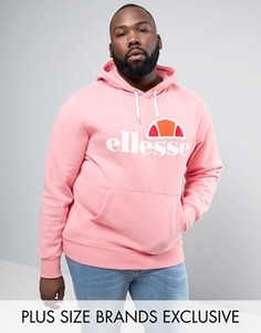 Plus size ellesse hoodie online