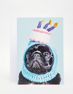 Открытка Jolly Awesome Pug Birthday Hat - Мульти