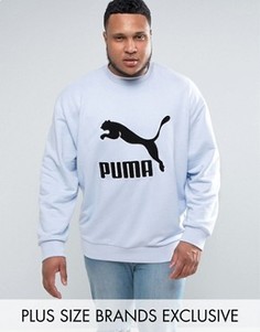 Синий свитшот с логотипом Puma PLUS эксклюзивно для ASOS - Синий