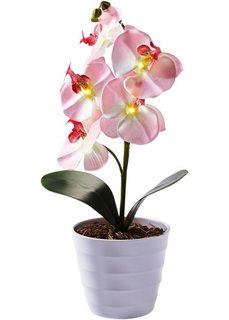 Светодиодная орхидея в горшке (розовый) Bonprix
