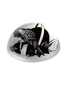 Гаджет Rory Dobner