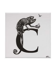 Гаджет Rory Dobner