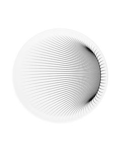 Блюдо Zaha Hadid Design