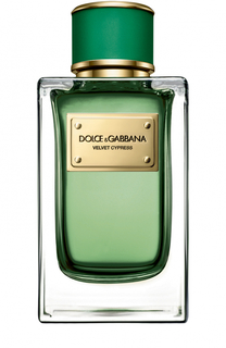 Парфюмерная вода Velvet Cypress Dolce &amp; Gabbana