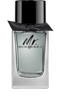 Туалетная вода Mr. Burberry Burberry