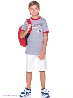 Бриджи Happy Puppy