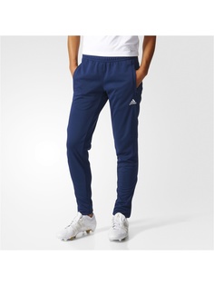 Брюки Adidas
