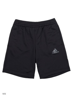 Шорты Adidas
