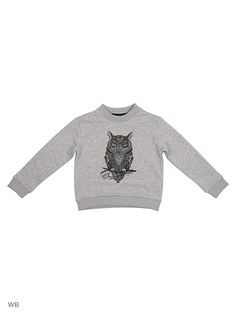 Свитшоты ALGORYTHM