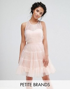 Тюлевое ярусное платье мини для выпускного Little Mistress Petite - Розовый