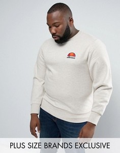 Свитшот с маленьким логотипом Ellesse PLUS - Stone