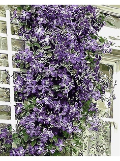 Наборы для рисования Menglei