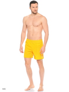 Шорты Speedo